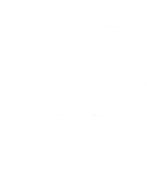 TT Project