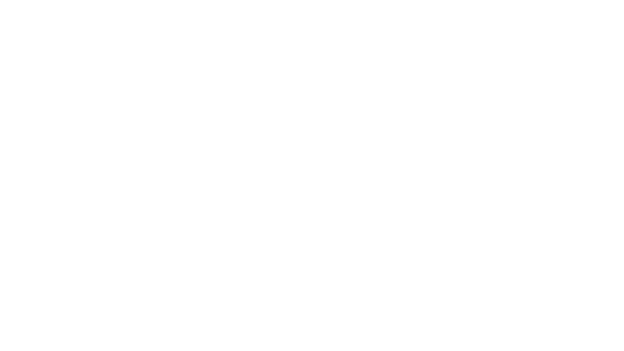 ZANSIDE GAMING